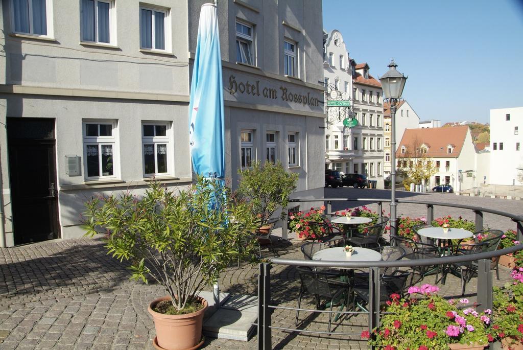 Am Rossplan Altemburgo Exterior foto