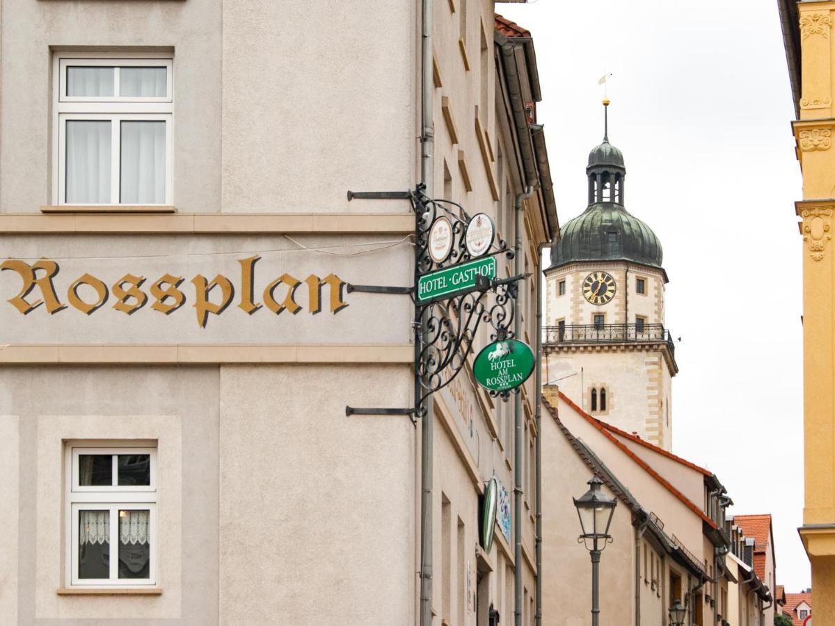 Am Rossplan Altemburgo Exterior foto